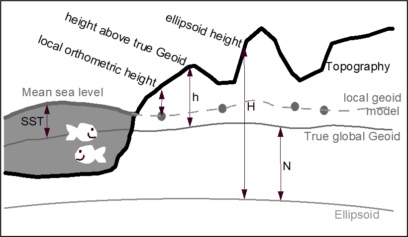 The relationship between the Geoid, a local geoid model (based on a tide-gauge datum), mean sea level, and a reference ellipsoid. The ODN geoid model is an example of a local geoid model.